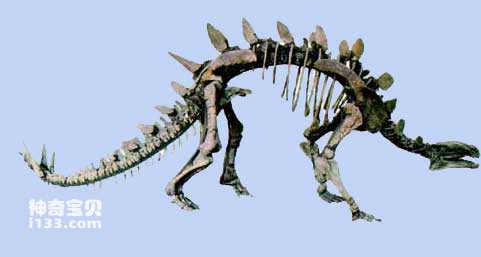 Đặc điểm hình thể và thói quen sinh sống của khủng long Stegosaurus