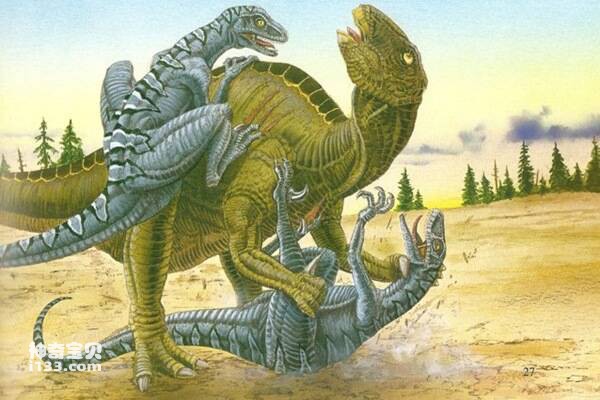 Đặc điểm cơ thể và địa điểm khai thác hóa thạch của khủng long Velociraptor